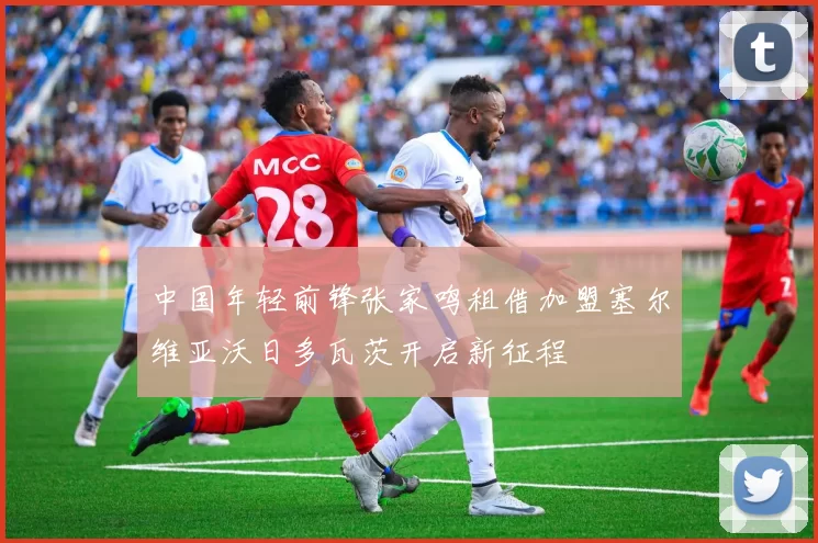 中国年轻前锋张家鸣租借加盟塞尔维亚沃日多瓦茨开启新征程