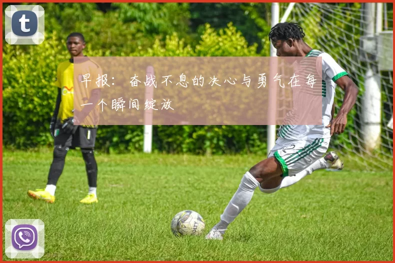 早报：奋战不息的决心与勇气在每一个瞬间绽放