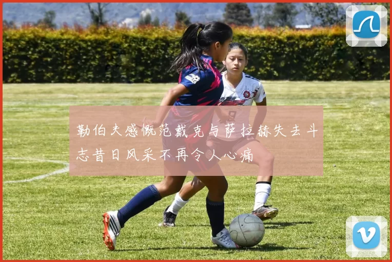 勒伯夫感慨范戴克与萨拉赫失去斗志昔日风采不再令人心痛